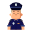 Vehicle crime